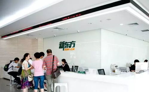 2018新東方藝考文化課春季住宿班 文化藝術咨詢服務全解析