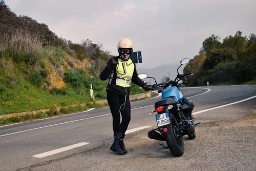 山林深處，文化藝術的靜謐綻放——文化藝術咨詢服務在山中的高曝光率探析